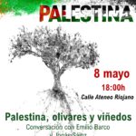 POR LA CULTURA PALESTINA: Palestina, olivares y viñedos